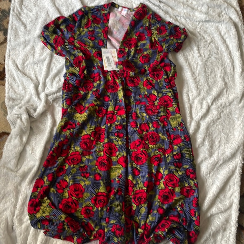 Nwt. LuLaRoe. Sarah. Duster size small